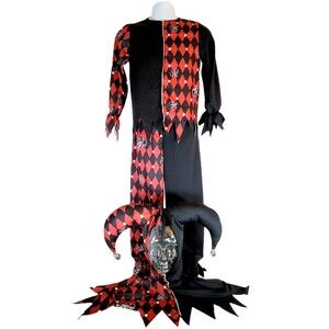 Jester Halloween Costume Youth Size Large by California Costumes